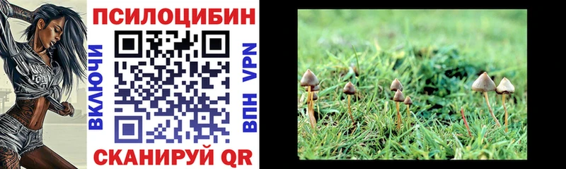 Псилоцибиновые грибы GOLDEN TEACHER  Балаково 